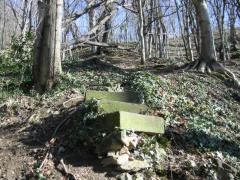 src/115-1581_IMG.JPG