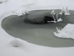 src/118-1818_IMG.JPG