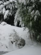 src/118-1819_IMG.JPG