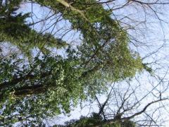 src/121-2166_IMG.JPG