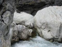 src/123-2399_IMG.JPG