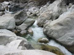 src/124-2411_IMG.JPG