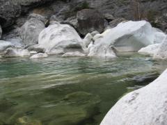 src/124-2424_IMG.JPG