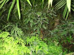 src/IMG_2690.JPG