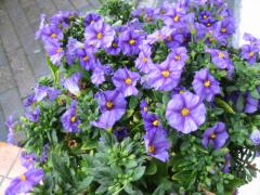 src/IMG_2939.JPG
