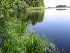 src/IMG_2971.JPG