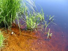 src/IMG_2972.JPG