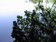 src/IMG_2976.JPG