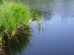 src/IMG_2977.JPG