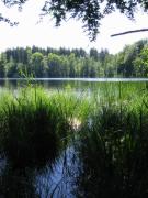 src/IMG_2985.JPG