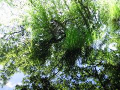 src/IMG_2987.JPG