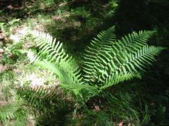 src/IMG_2991.JPG