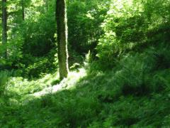 src/IMG_3004.JPG