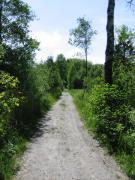 src/IMG_3013.JPG