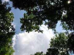src/IMG_3045.JPG