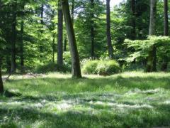 src/IMG_3046.JPG