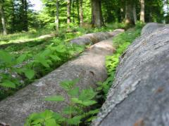 src/IMG_3049.JPG