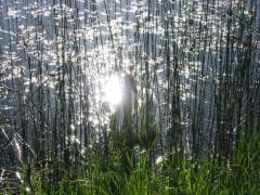 src/IMG_3069.JPG
