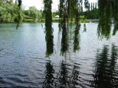 src/IMG_3226.JPG