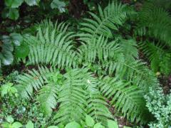 src/IMG_3457.JPG