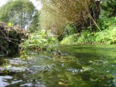 src/IMG_4258.JPG