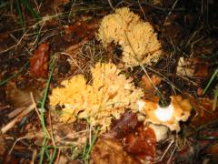 src/IMG_4306.JPG