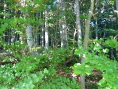 src/IMG_4321.JPG