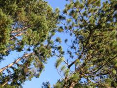 src/IMG_4327.JPG