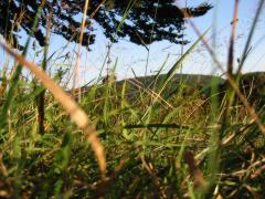 src/IMG_4330.JPG