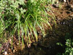 src/IMG_4337.JPG