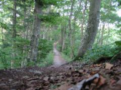 src/IMG_4353.JPG