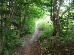 src/IMG_4355.JPG