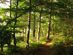 src/IMG_4362.JPG