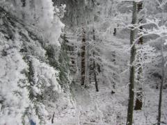 src/IMG_4617.JPG
