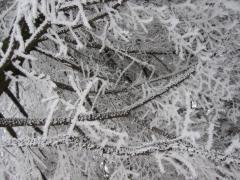 src/IMG_4620.JPG