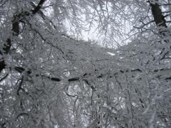src/IMG_4627.JPG
