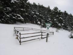 src/IMG_4662.JPG