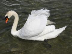 src/IMG_4985.JPG