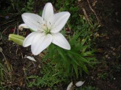 src/IMG_5122.JPG