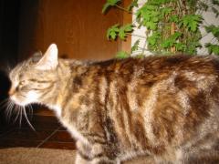 src/IMG_5187.JPG
