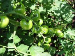 src/IMG_5208.JPG