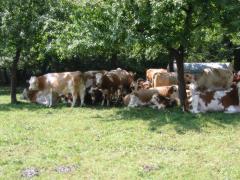 src/IMG_5360.JPG