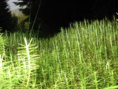 src/IMG_5466.JPG