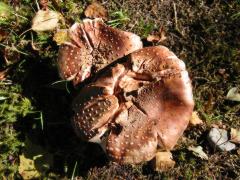 src/IMG_5712.JPG