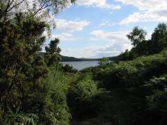 src/IMG_5950.JPG