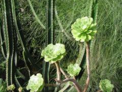 src/IMG_6130.JPG
