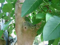 src/IMG_6132.JPG