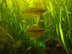 src/IMG_6226.JPG