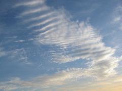 src/IMG_6254.JPG