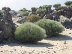 src/IMG_6373.JPG